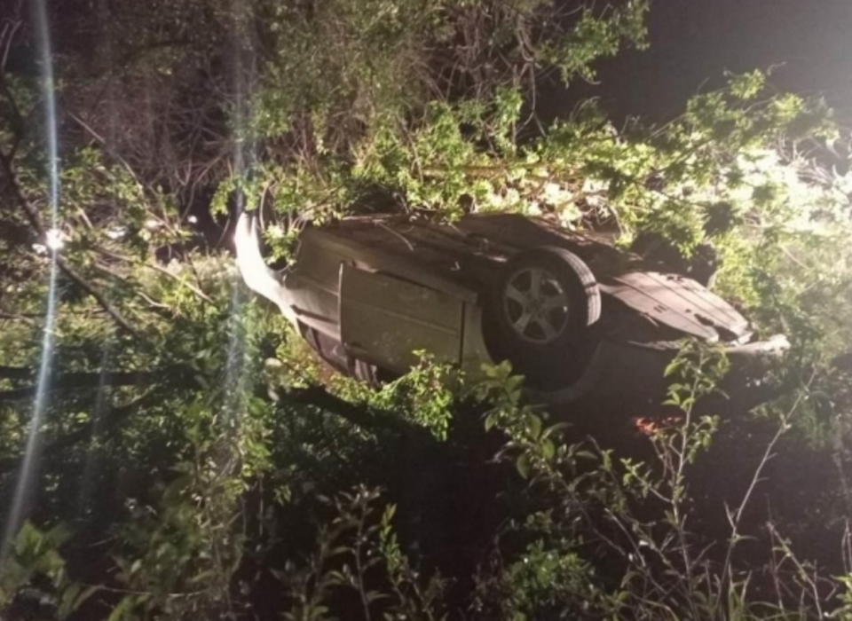 В перевернувшейся иномарке после наезда на дерево погиб 38-летний волгоградец